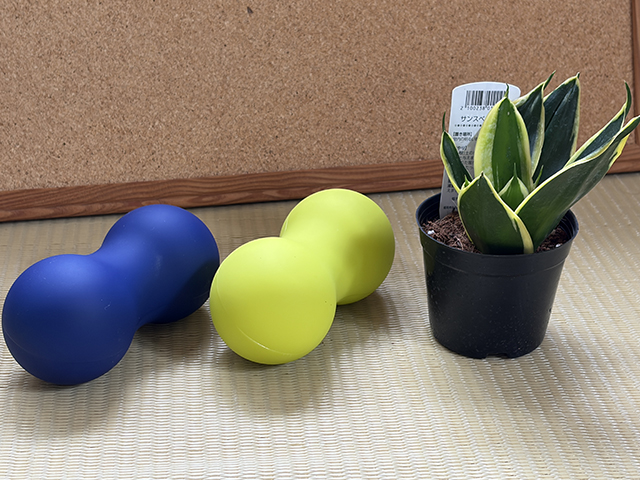 2609-IMG_1231 マッサージ用品と観葉植物